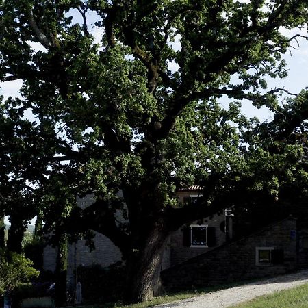 L'Abbraccio Della Quercia Apartamento Momjan Exterior foto