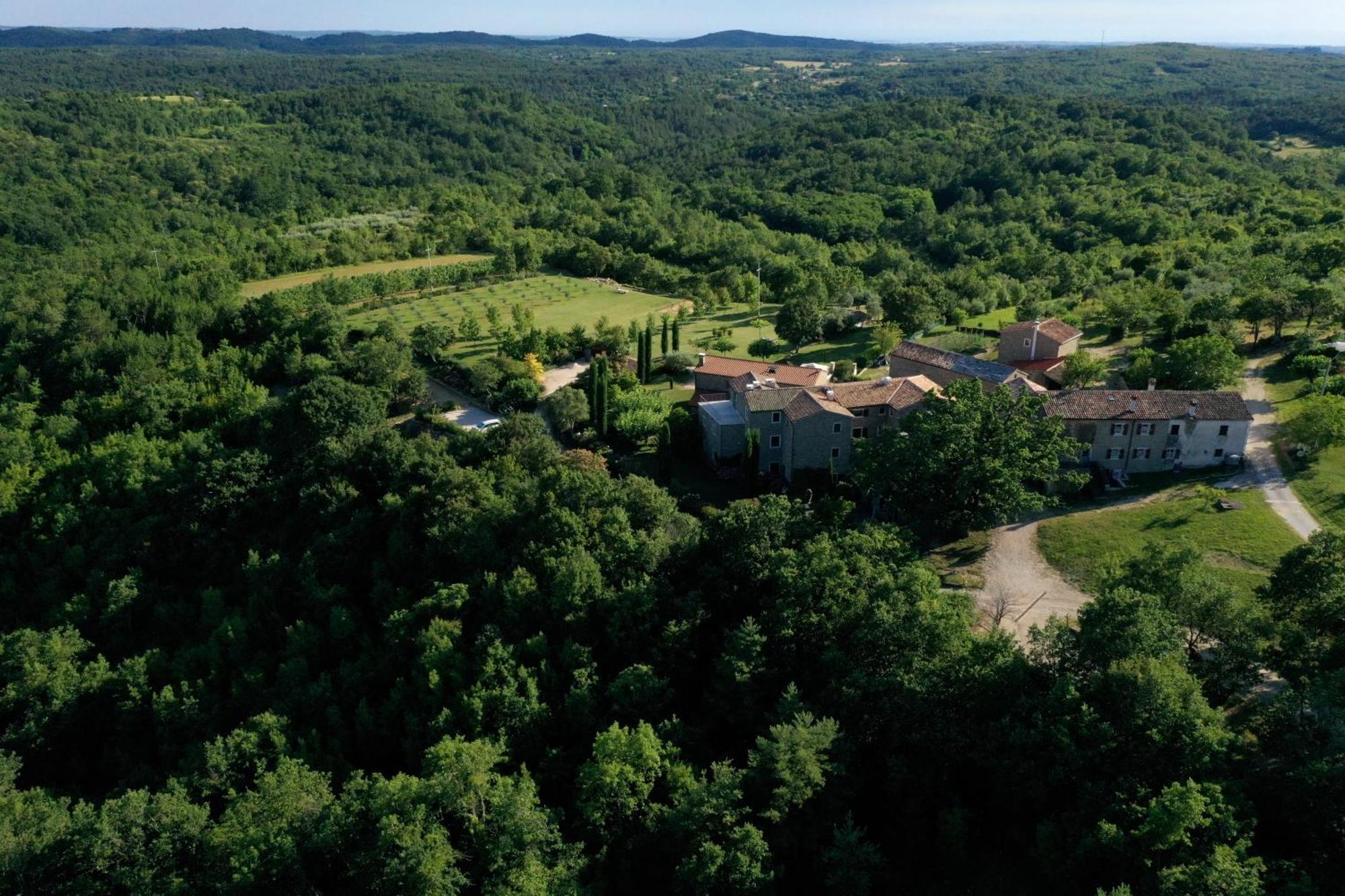 L'Abbraccio Della Quercia Apartamento Momjan Exterior foto